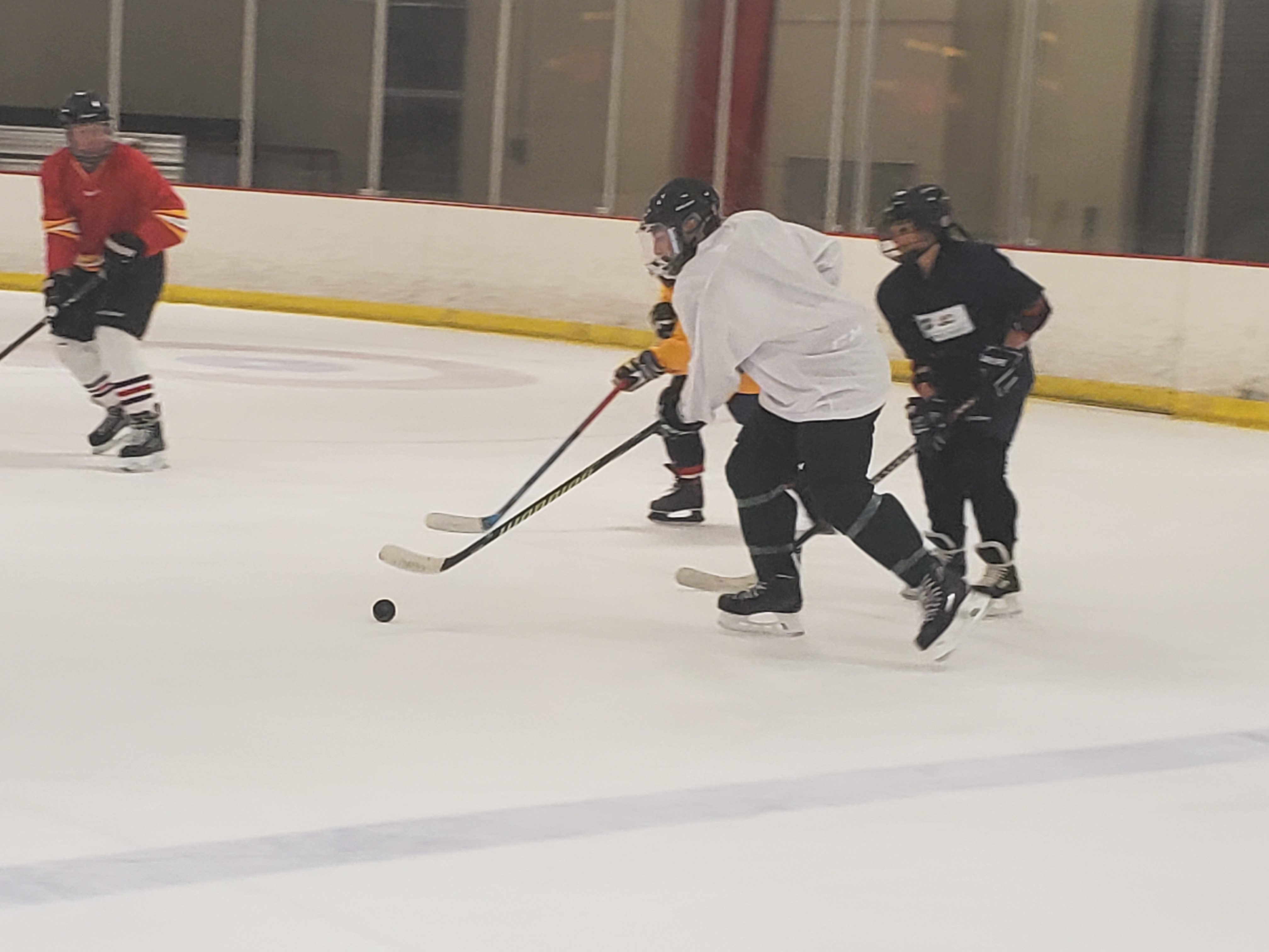 individuals playing hockey