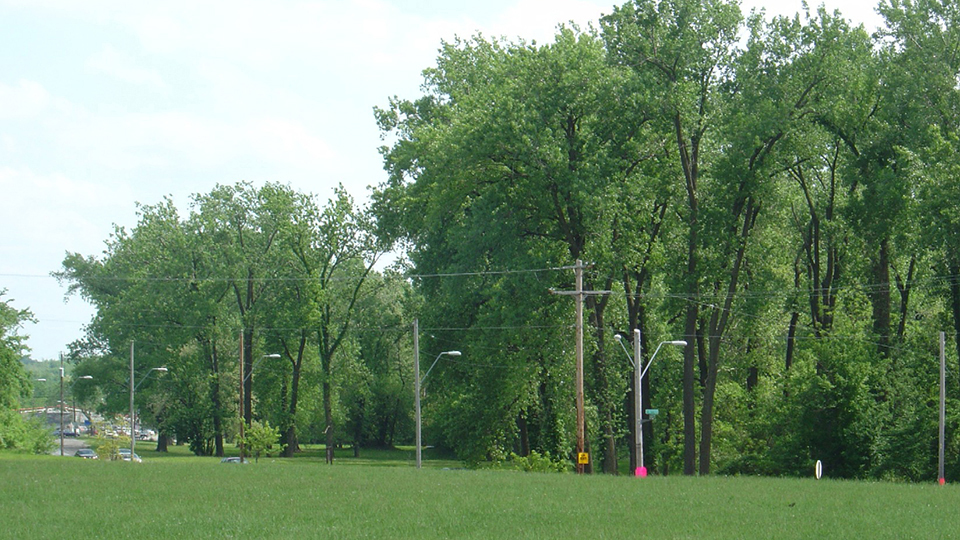 Chouteau Greenway