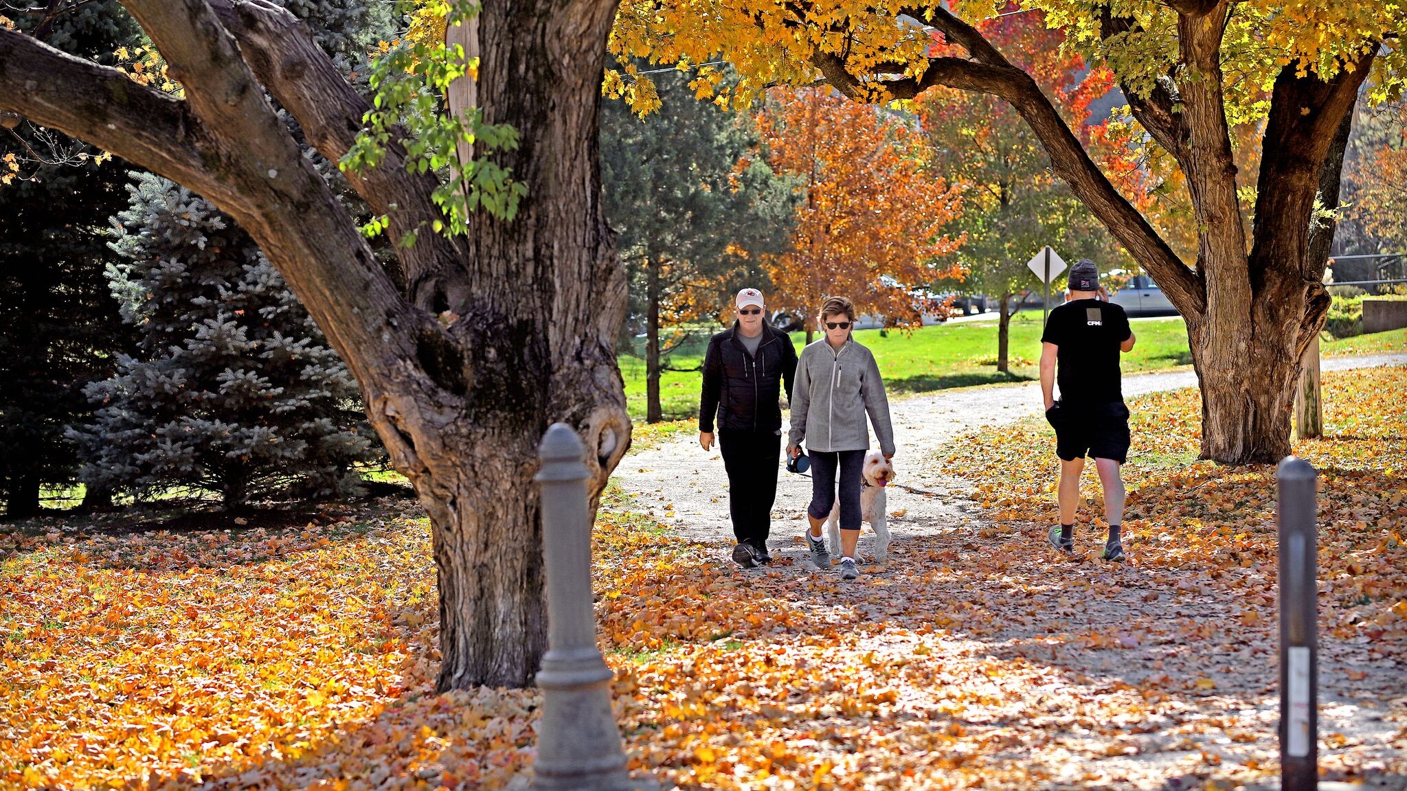 Seniors walking in the park in the fall