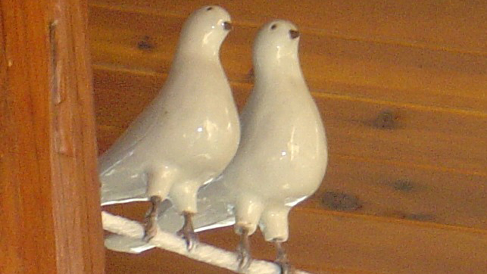 Two Doves Sitting On A Branch Up High