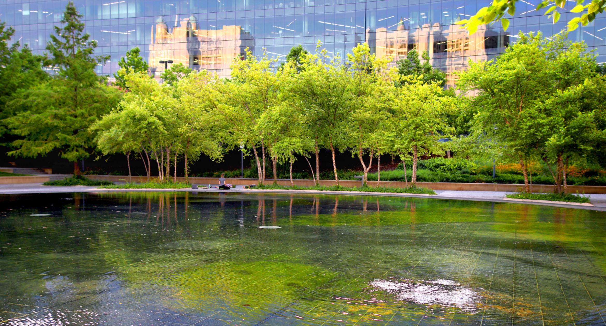 Beautiful buildings reflected on glass building behind trees