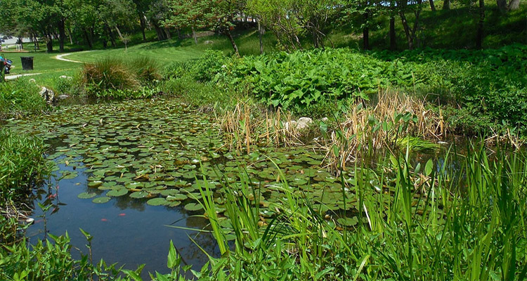 Mill Creek Park Eco-Pond Fountain