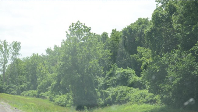 North Hills Park