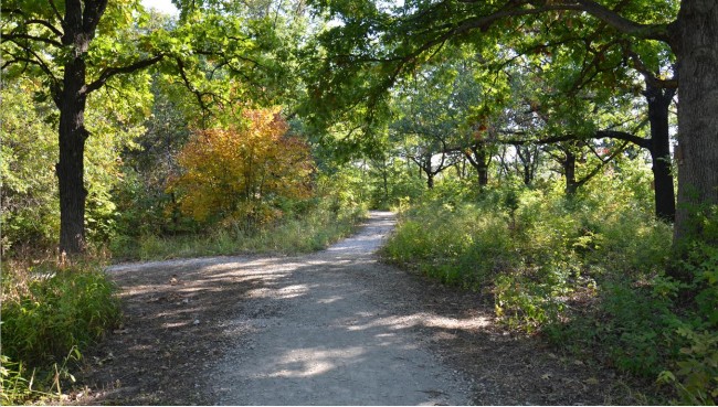 Swope Park: Fox Hollow Trail