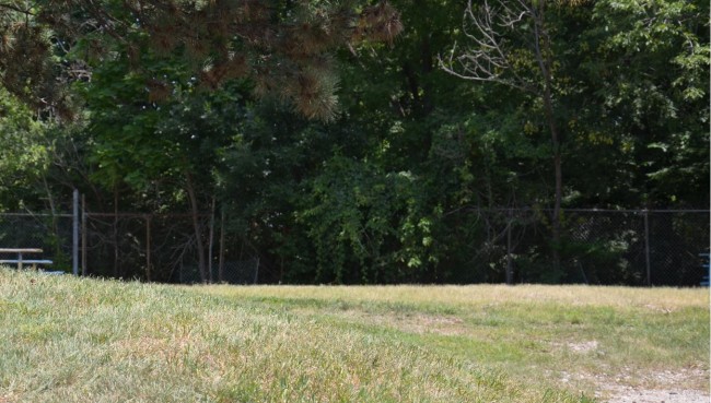 Tracy Arts Park