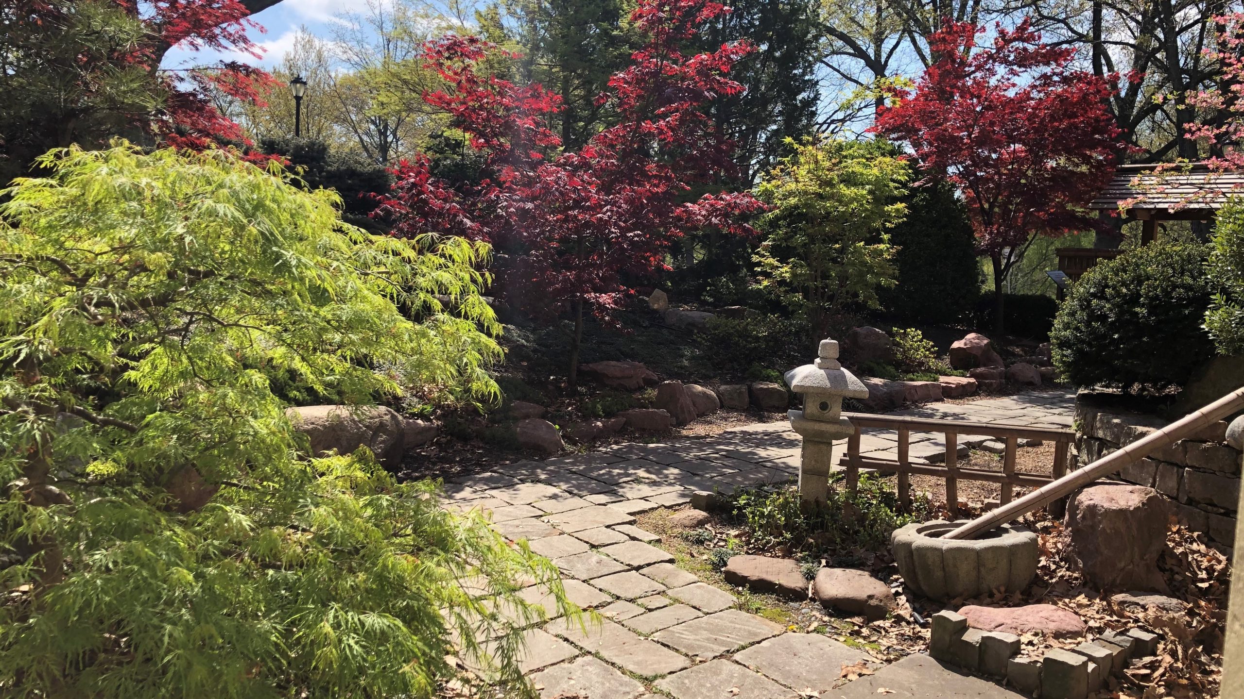 Japanese Tea Room and Garden