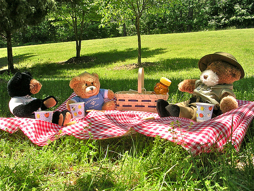 Attend our First Teddy Bear Picnic