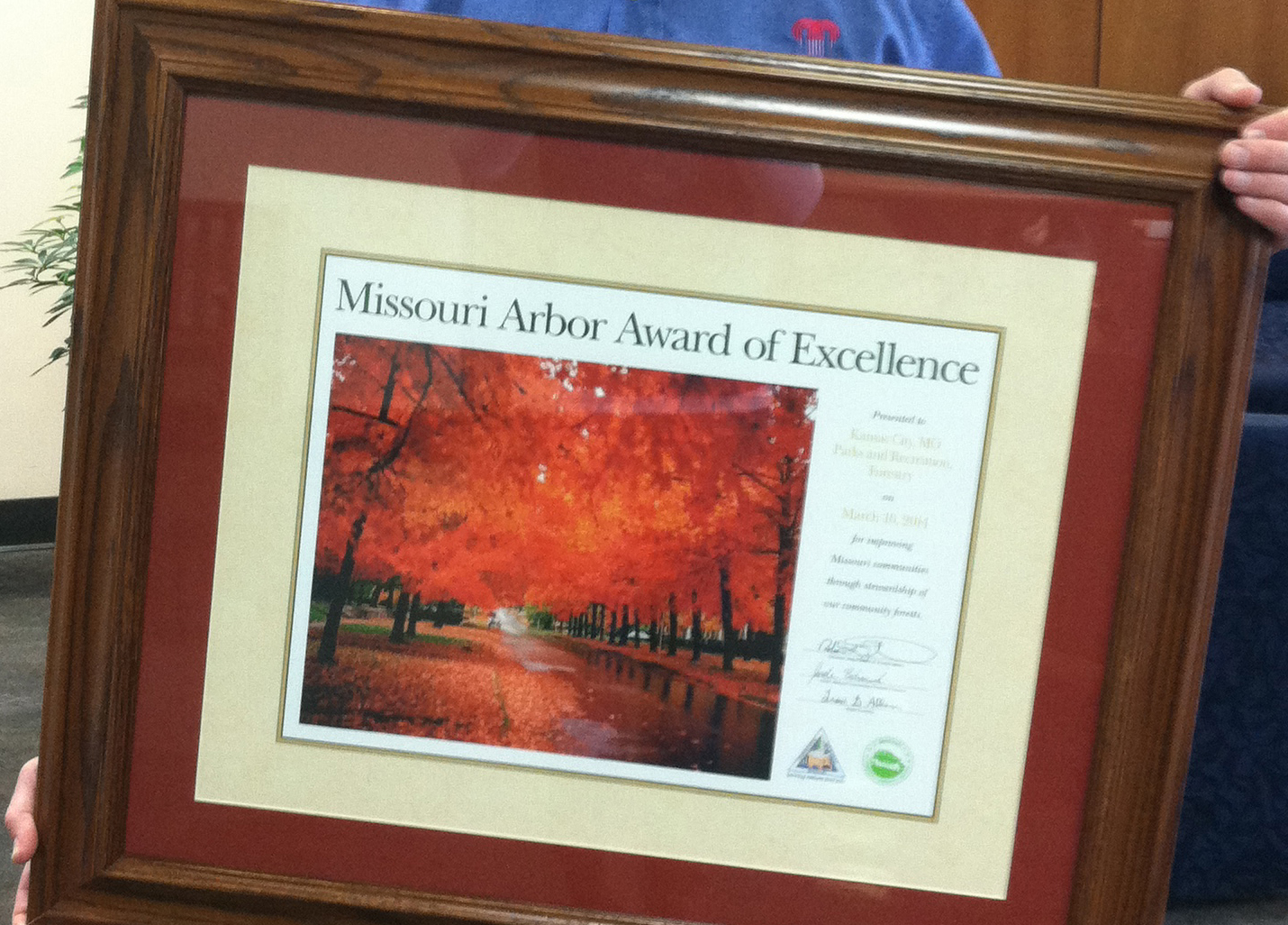 City Receives Missouri Arbor Award of Excellence for Proactive Emerald Ash Borer Management