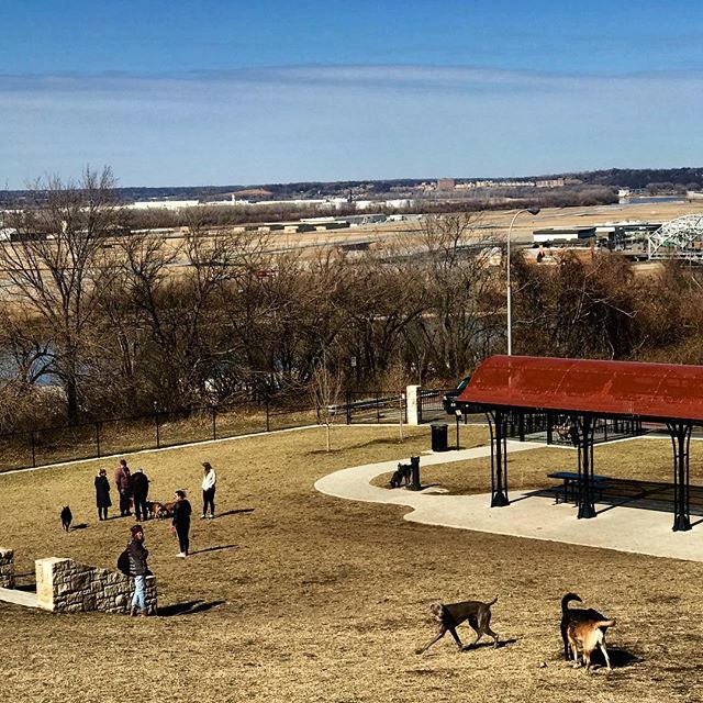 It’s a great dog park day! #SundayFunday #WTDP #KCParks #WhereKCPlays