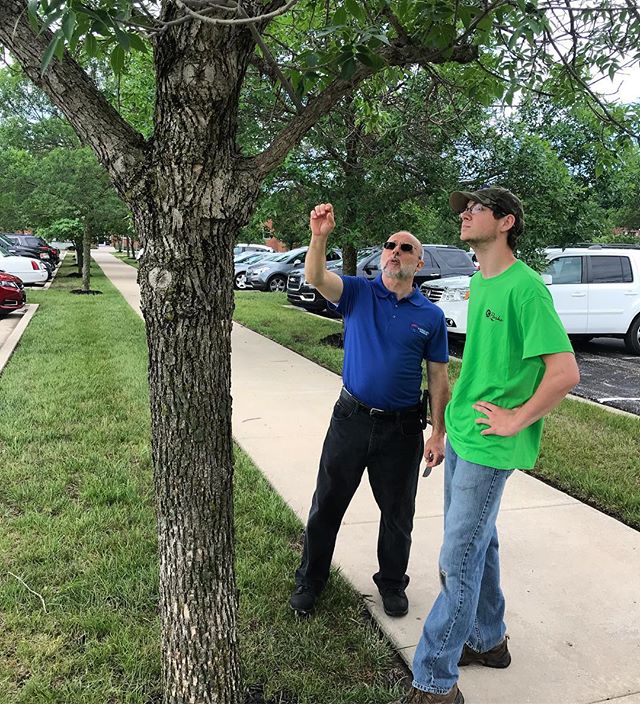 ‪One of our summer interns learning all about #EmeraldAshBorer from #KCParks #EAB Forester Kevin Lapointe‬