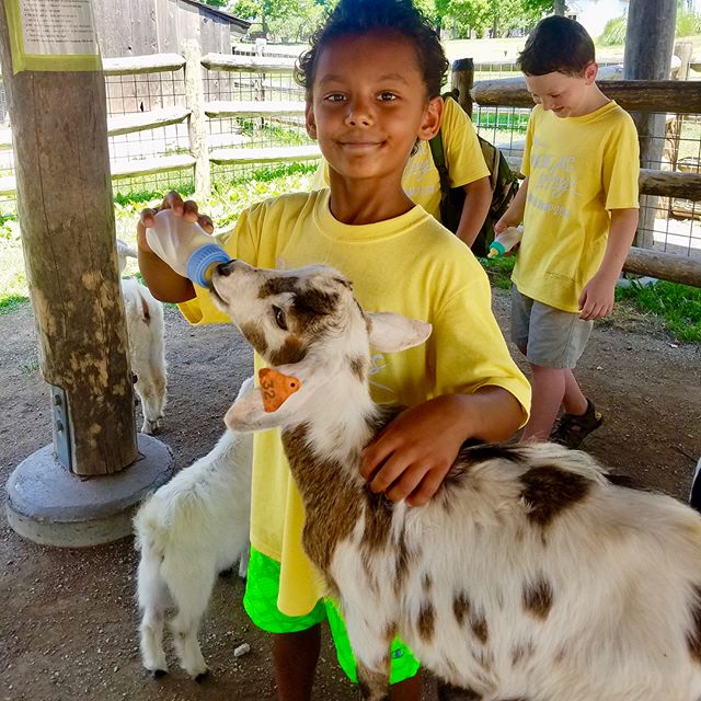 Tony Aguirre Community Center Summer Campers field trip to Deanna Rose Children's Farmstead #KCParks #WhereKCPlays