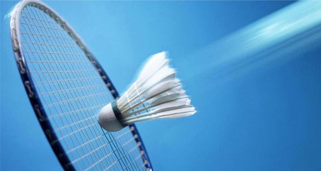 Active Agers Badminton