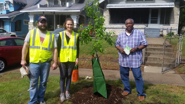 Kansas City, Missouri Residents Receive a Free Street Tree