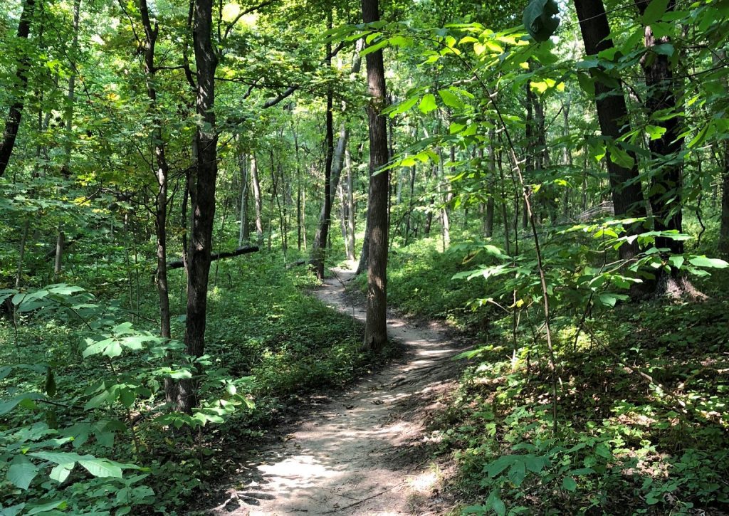 Hidden Valley Park Trail - KC Parks and Rec