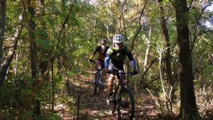 Riders cycling in the forest