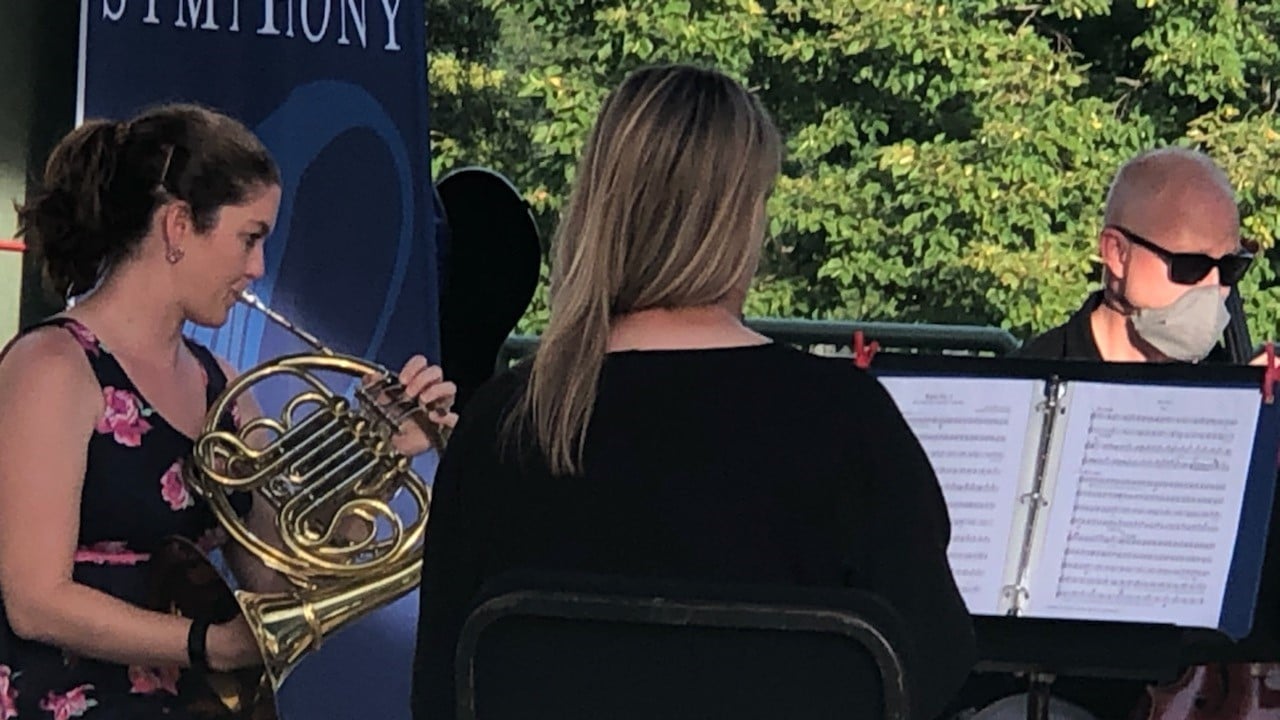 Symphony Chamber Music Concerts in the Parks
