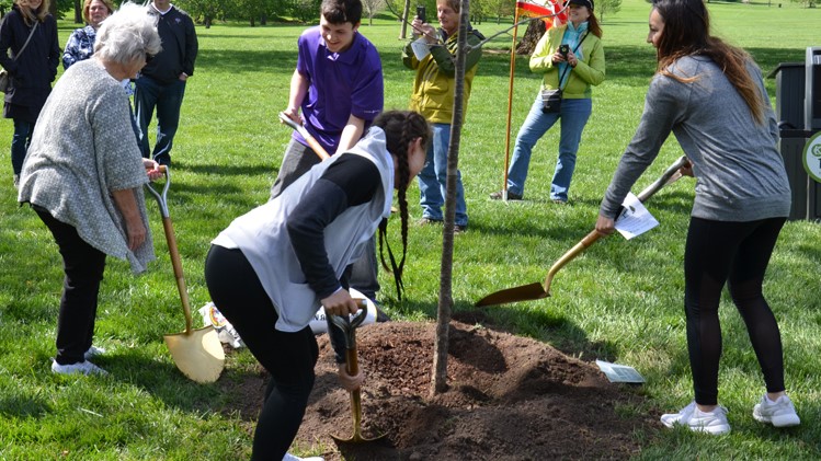 Arbor Day Tree Planting in Loose Park on April 8