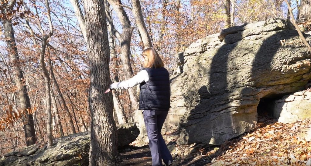 Blue Valley Park Oxbow Bluffs Trail