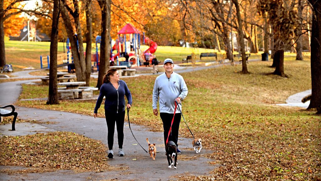 Adults dog walking in the park