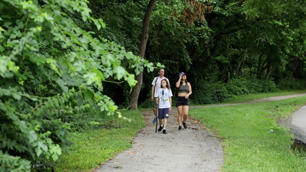 Crestview Park Trail