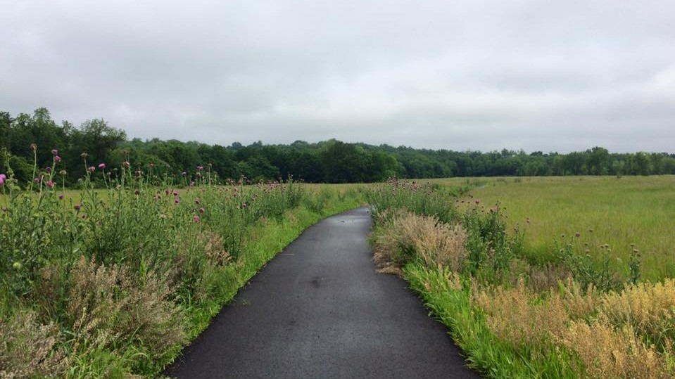 Beautiful Trail