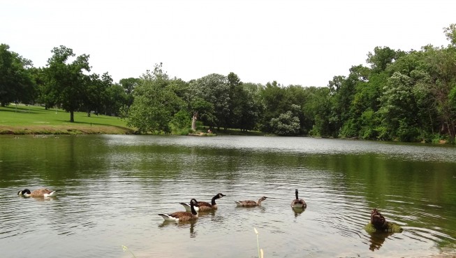 Lakewood Greenway Lake