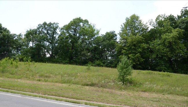 Morgan Tract