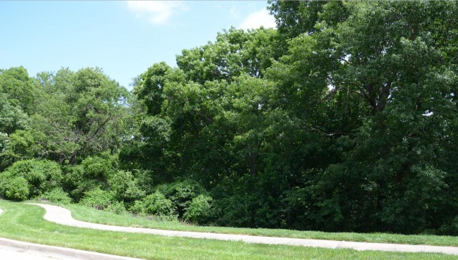 North Brook Park