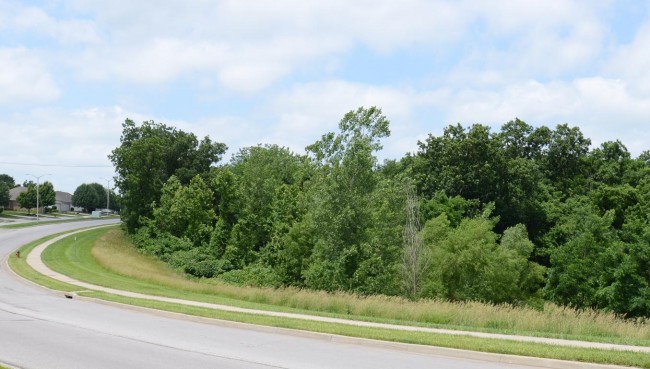 North St. Clair Park