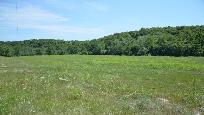 Raytown Road Athletic Field