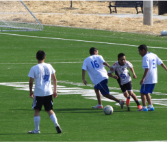 9th & Van Brunt Athletic Fields Park