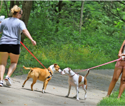 Amity Woods Nature Park