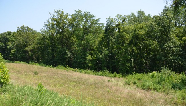 Riverview Greenway