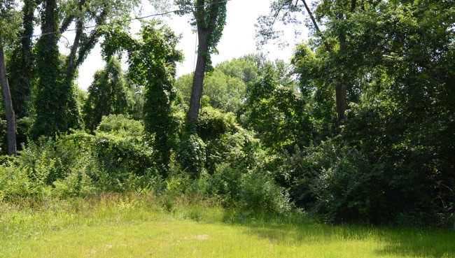 Rock Creek Park