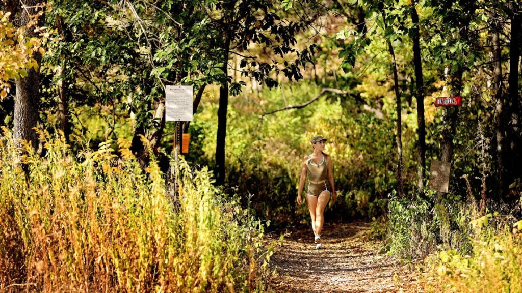 Swope Park Fox Hollow Trail2