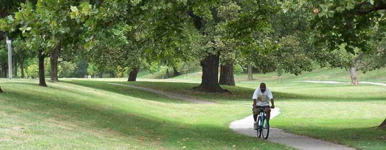 Bicycle in park